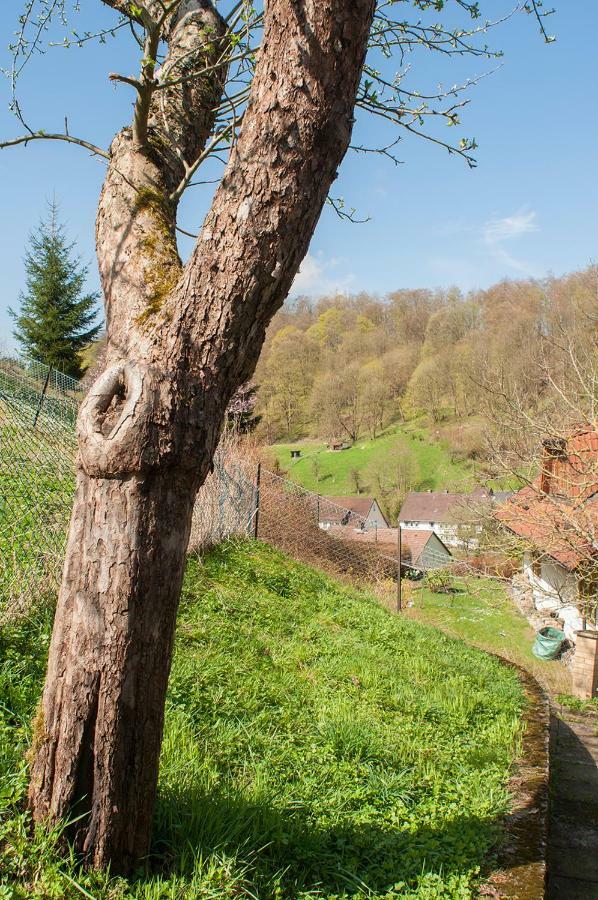 Platell Ferienhaeuser Harz Lerbach Экстерьер фото